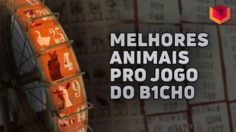 simulador de jogo do bicho